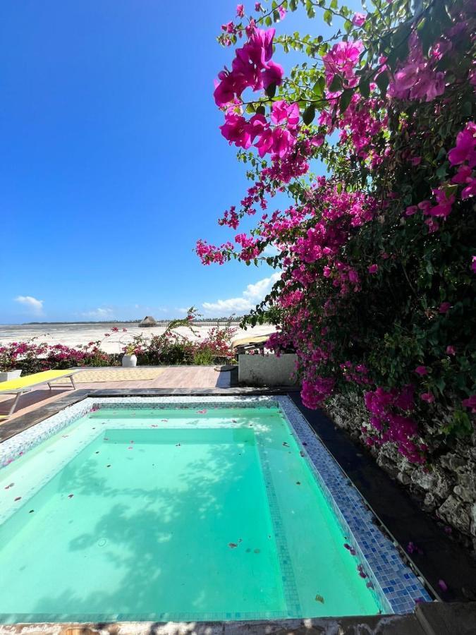 Malcom Residence 2 Mdudu Mkubwa ภายนอก รูปภาพ